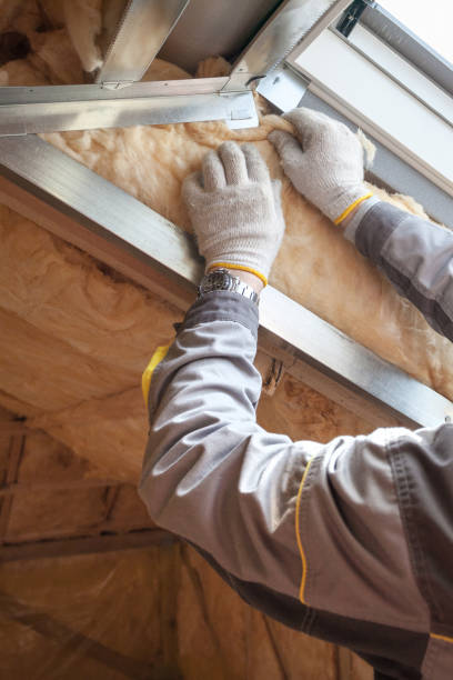 Types of Insulation We Offer in Columbia, SC